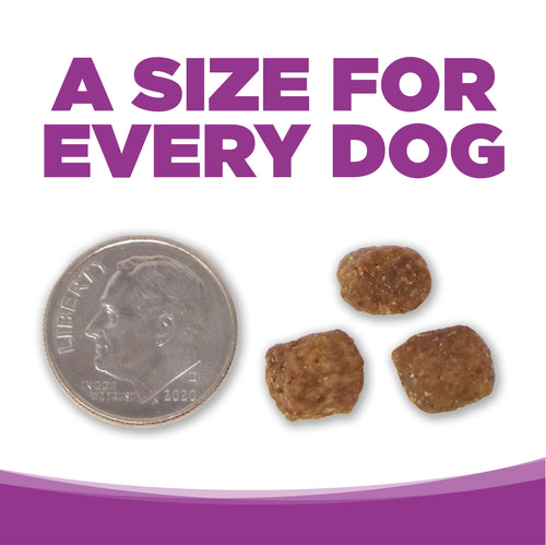 NutriSource® Large Breed Puppy Recipe Dry Dog Food