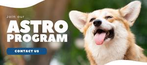 Join our Astro program Contact Us Button with a Corgi smiling in the background