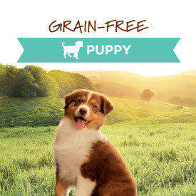 Nature's Variety Instinct Original Puppy Chicken Wet Dog Food