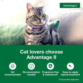 Advantage II Large Cat Flea Treatment & Prevention