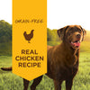 Nature's Variety Instinct Original Chicken Wet Dog Food