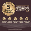 Wellness CORE Large Breed Puppy Dog Food