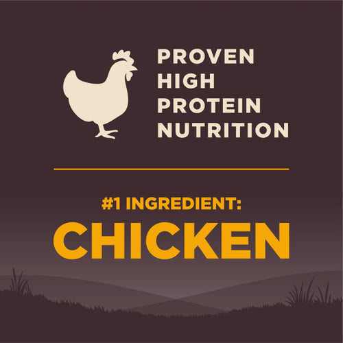 Wellness CORE Large Breed Puppy Dog Food