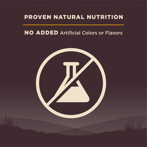 Wellness CORE Large Breed Puppy Dog Food