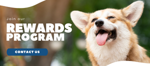 Smiling corgi dog with text 'join our rewards program and a contact us button'