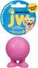 JW Pet Good Cuz Dog Toy