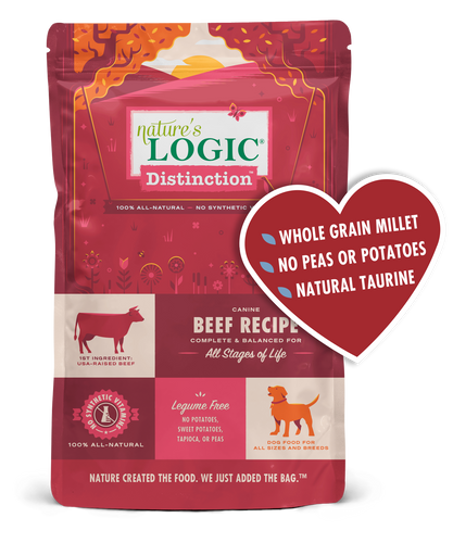 All natural dry dog food best sale