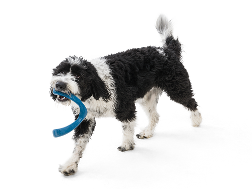 West Paw Snorkl Dog Toy