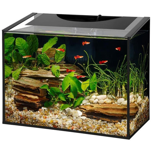 AQUEON ASCENT FRAMELESS LED AQUARIUM KIT