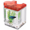 AQUEON BETTA PUZZLE KIT