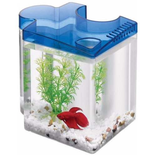 AQUEON BETTA PUZZLE KIT