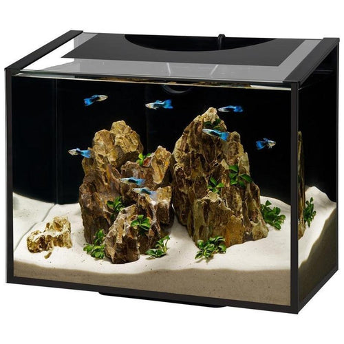 Aqueon 11 gallon frameless aquarium best sale