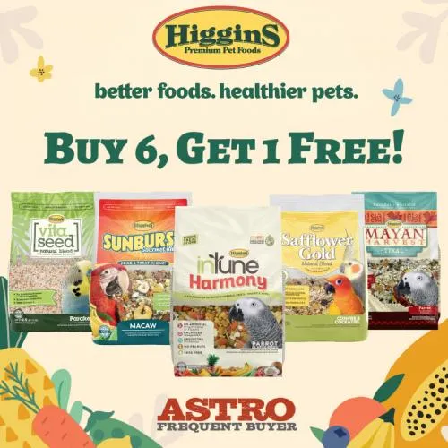 Promotion Image
